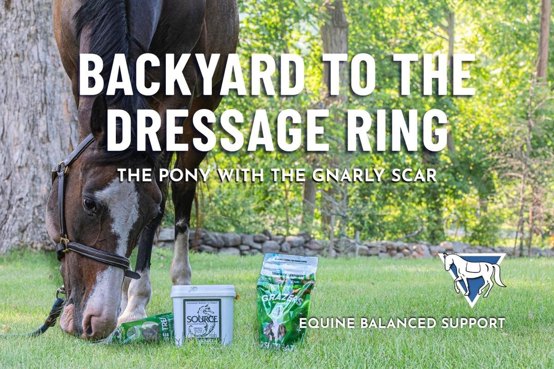 From Backyard to Dressage Ring: Margaret & Poppet’s Journey