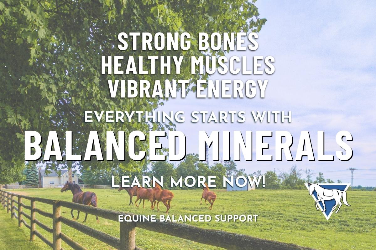 Unlocking Optimal Equine Health: The Importance of Key Mineral Ratios