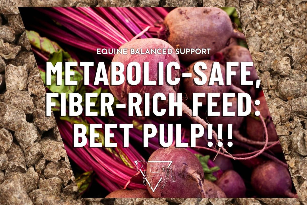 Looking for a Metabolic-Safe, Fiber-Rich Feed?