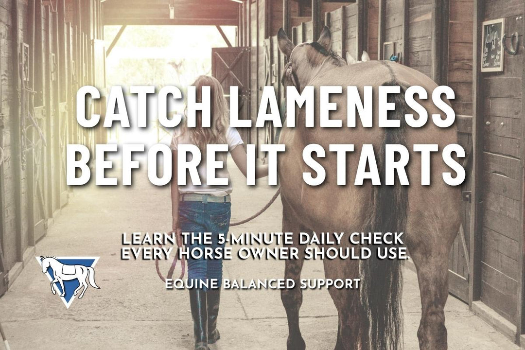 The 5-Minute Lameness Check That Could Save Your Horse’s Soundness