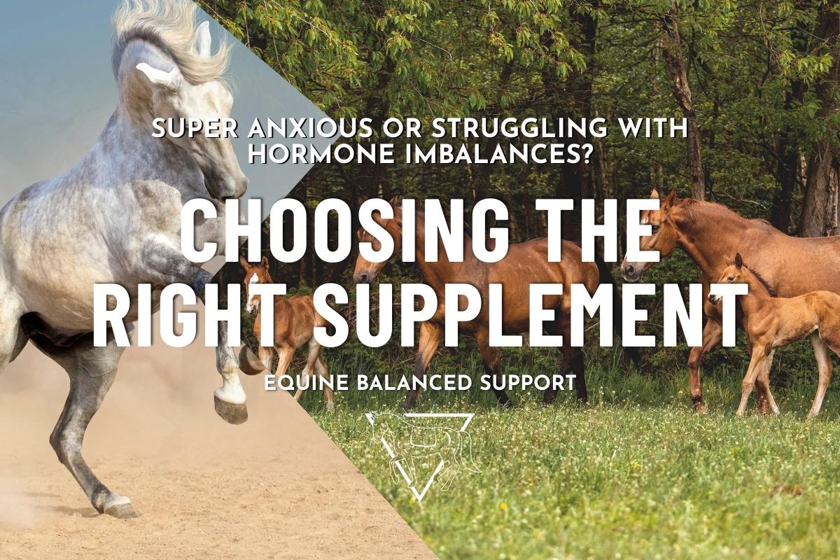 Guide to Choosing Hormonal and Calming Supplements for Horses
