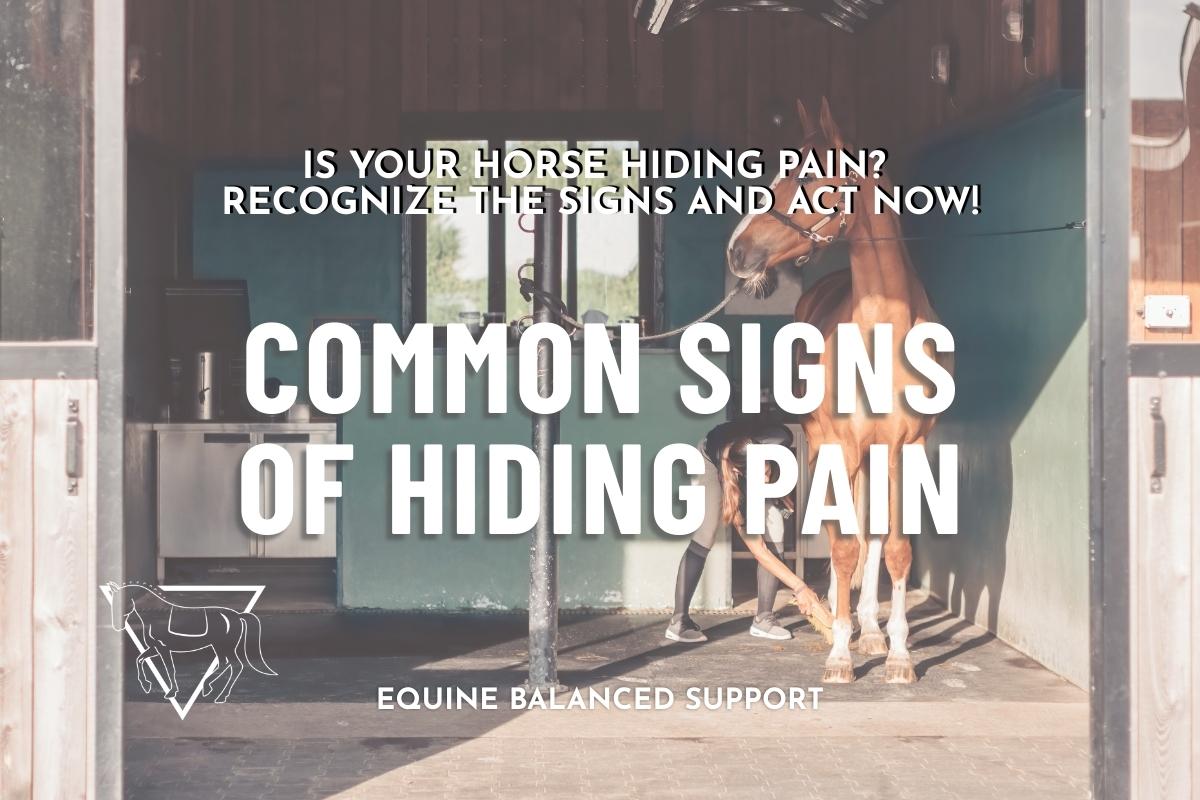 The Silent Sufferers: Recognizing Pain in Horses Before It's Too Late