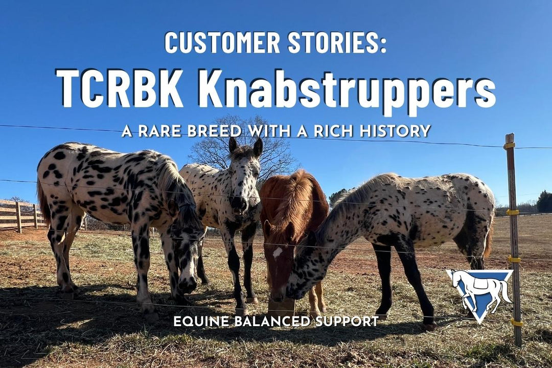 Preserving a Rare Breed: Meet TCRBK Knabstruppers