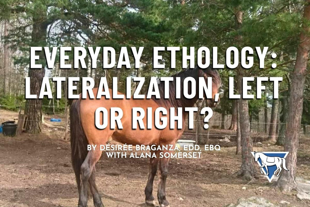 Everyday Ethology: Lateralization, Left or Right?