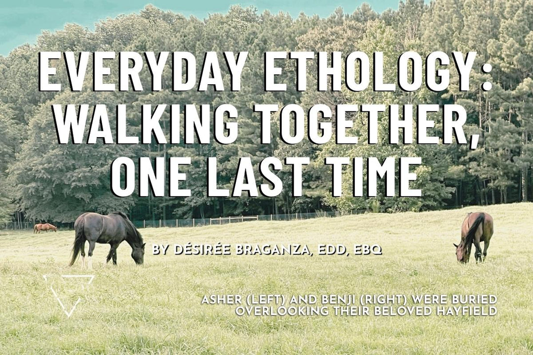 Everyday Ethology: Walking Together, One Last Time