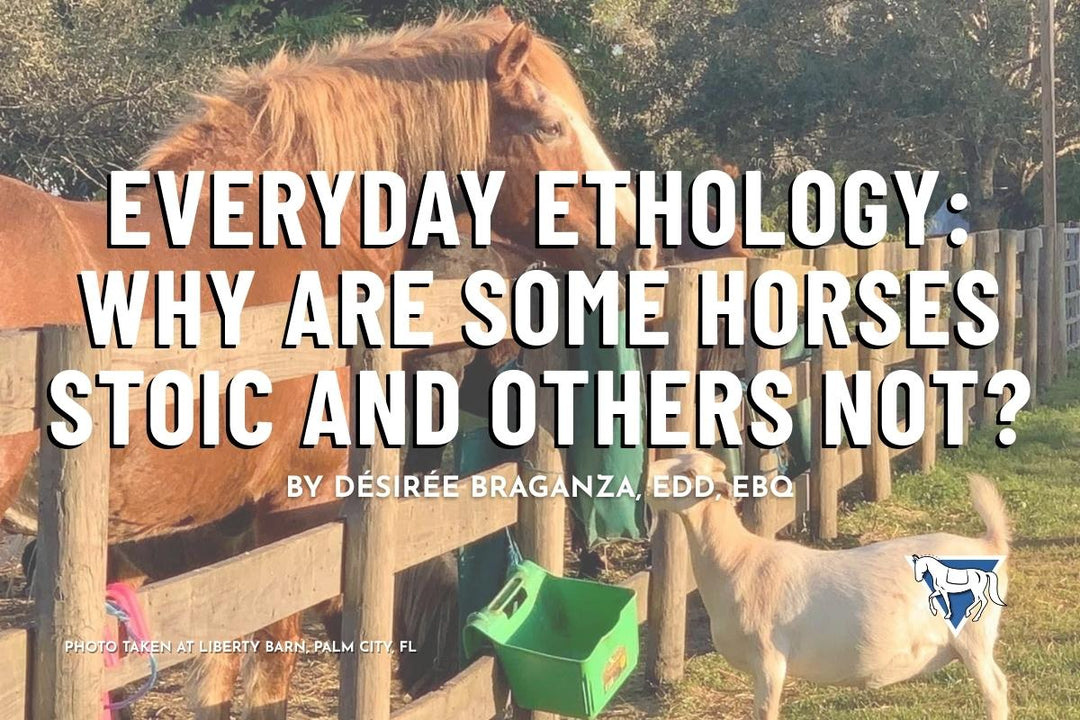 Everyday Ethology: Why are Some Horses Stoic and Others Not?
