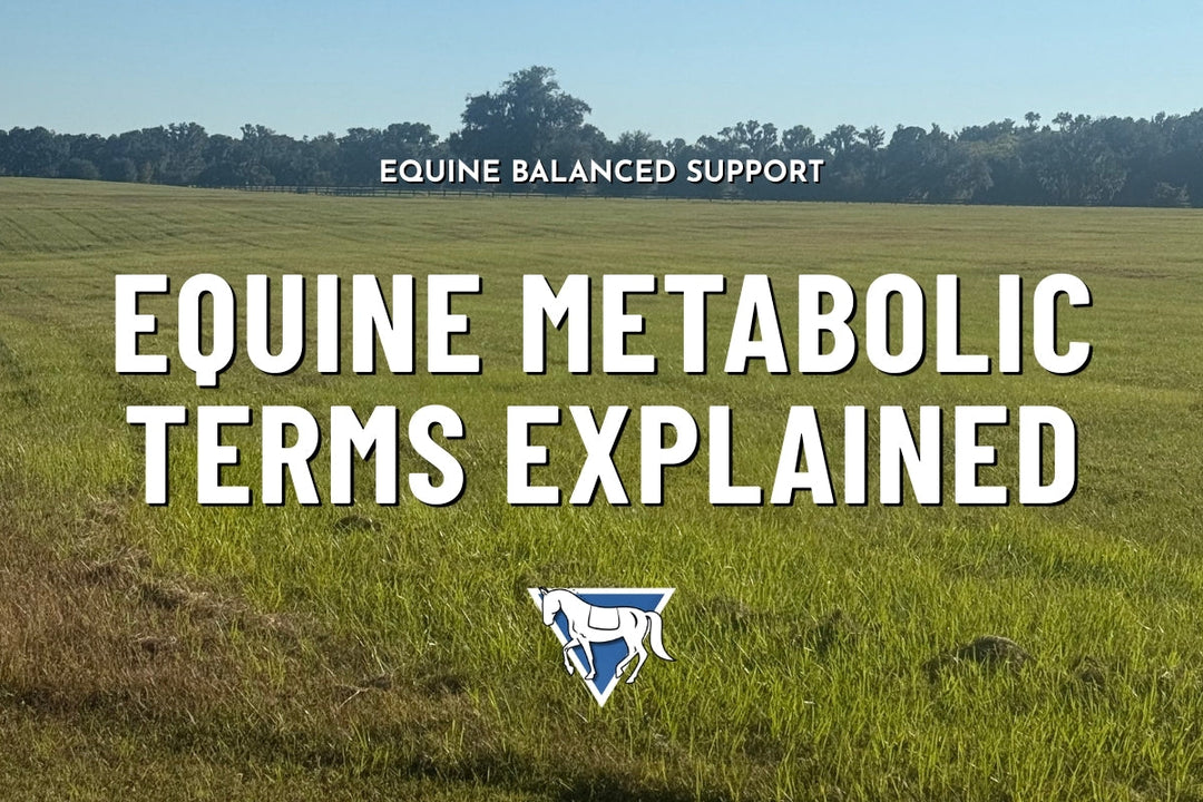 Equine Metabolic Terms Explained