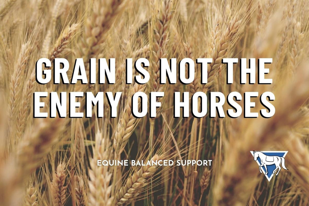 Grain in a Forage-First Diet: Myths, Facts & Smart Feeding