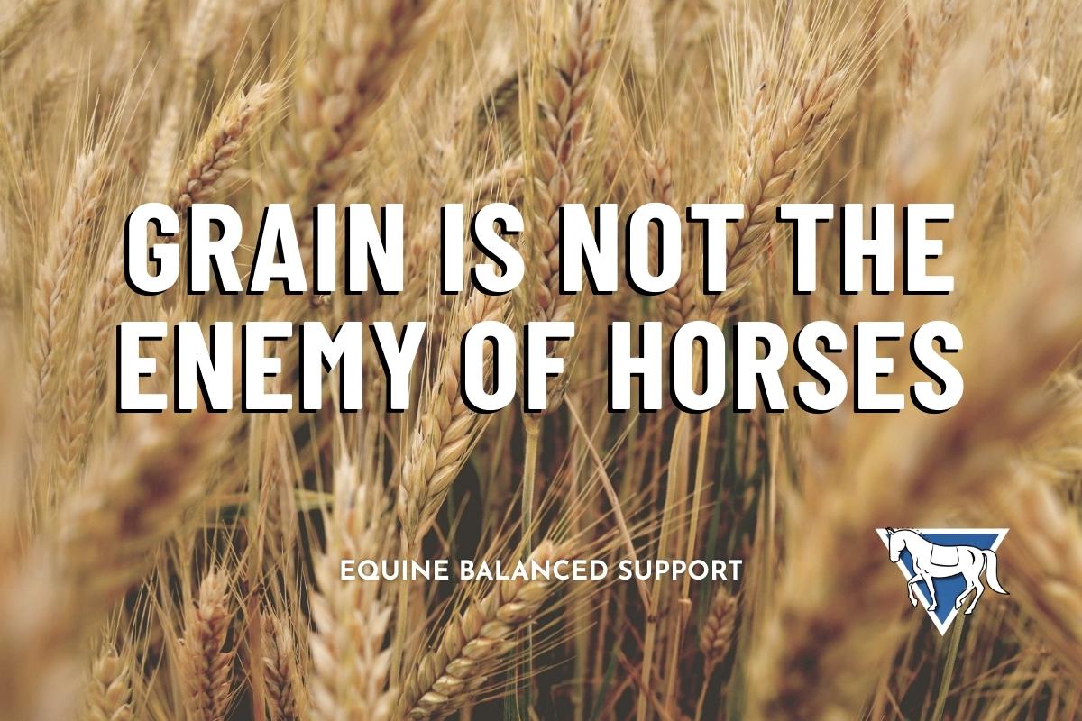 Grain in a Forage-First Diet: Myths, Facts & Smart Feeding