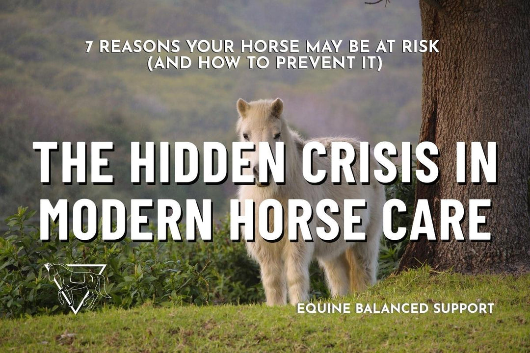 Why More Horses Have Metabolic Problems Today (And What You Can Do About It)