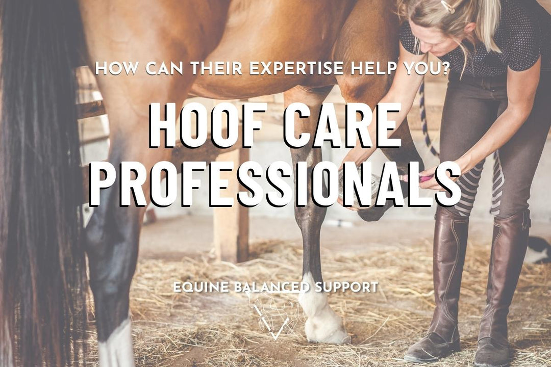 Beyond Hooves: Revealing the Essential Role of a Hoof Care Professional in Equine Management