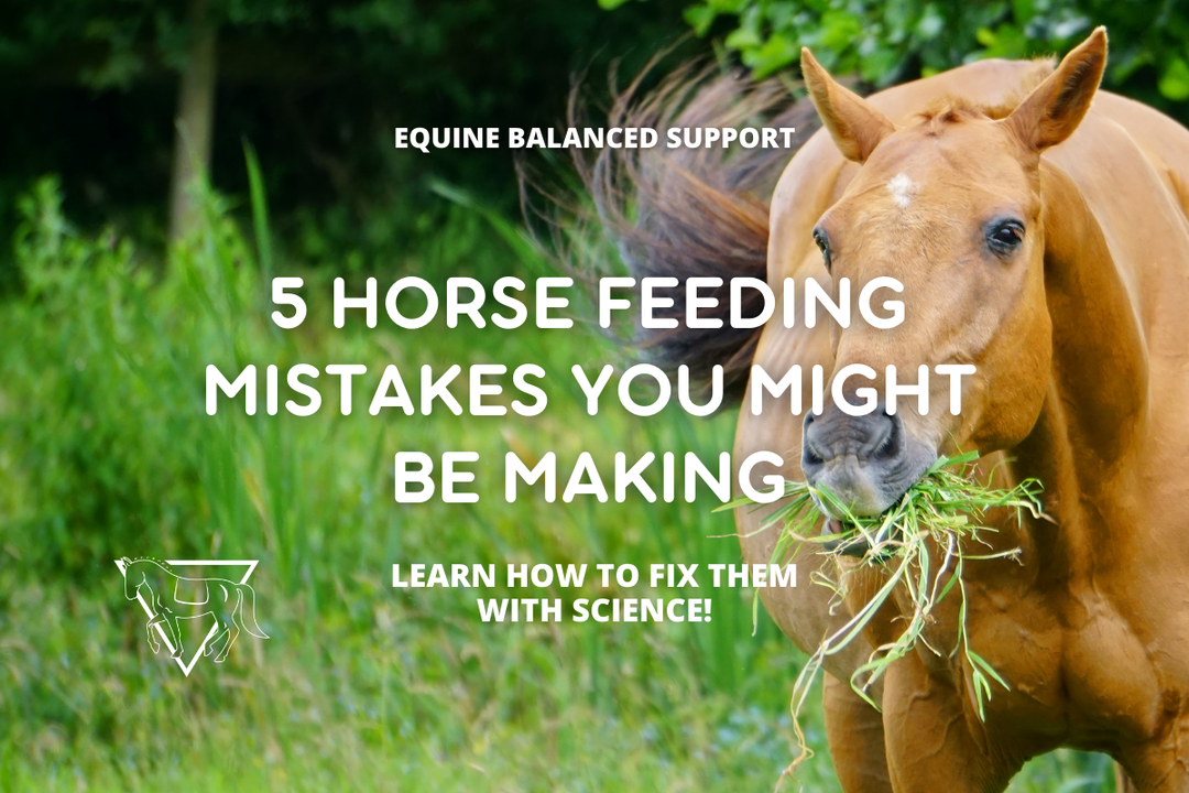 5 Common Horse Feeding Mistakes (and How to Fix Them with Science)