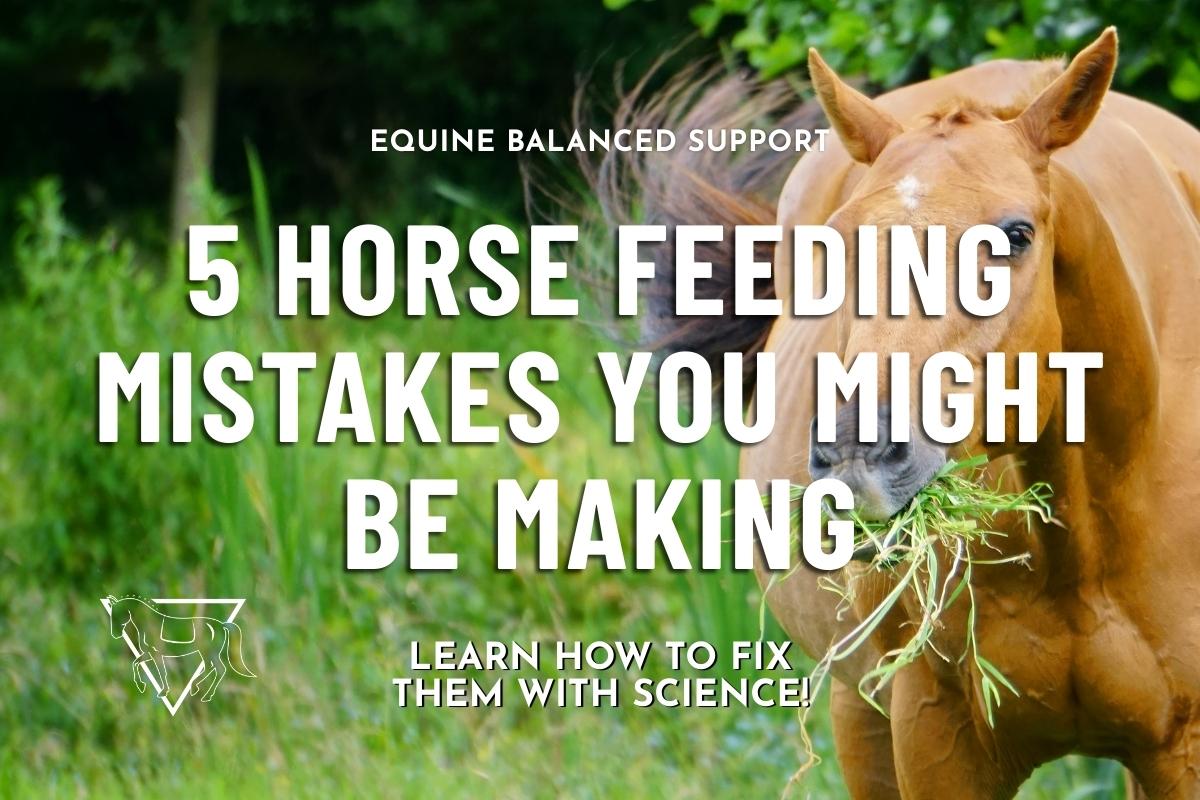 A healthy horse grazing in a green pasture, an example of proper nutrition  with Equine Balanced Support's logo and text: "5 Common Horse Feeding Mistakes You Might Be Making: Learn How to Fix Them with Science"