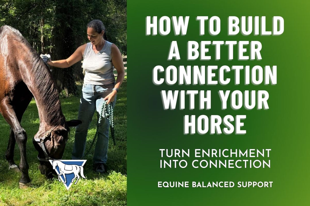 How to Build a Better Connection with Your Horse