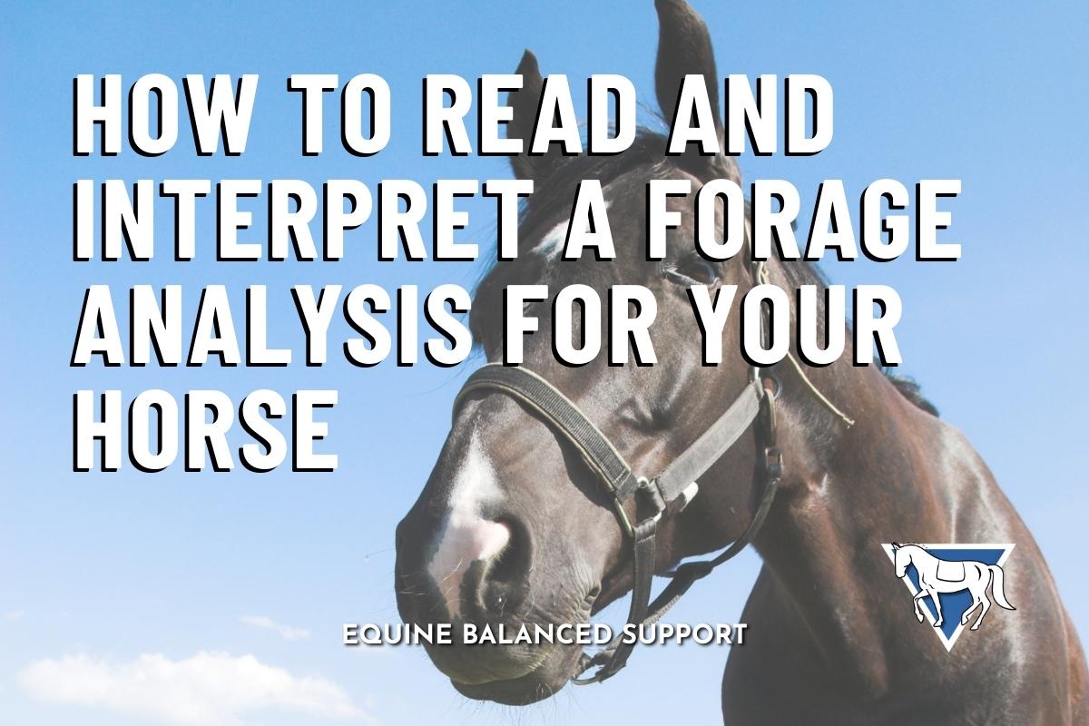 How to Read and Interpret a Forage Analysis for Your Horse: Complete Guide to ESC, WSC, NSC, HC, Fructans, Fiber, Protein, and Minerals