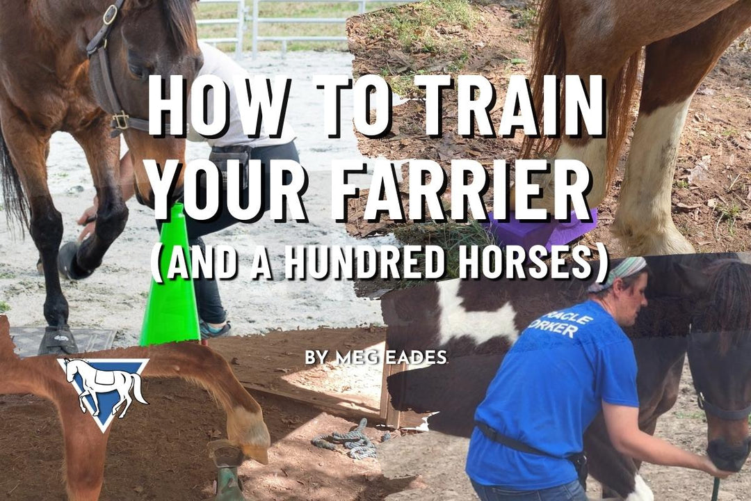 How to Train Your Farrier (And a Hundred Horses)
