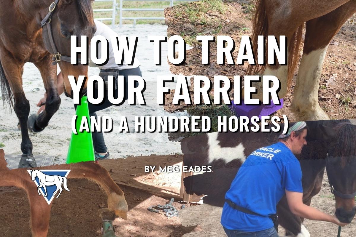 A collage of Farrier Meg Eades shoeing horses with Equine Balanced Support's logo and text: "How to Train Your Farrier (And a Hundred Horses) By Meg Eades"