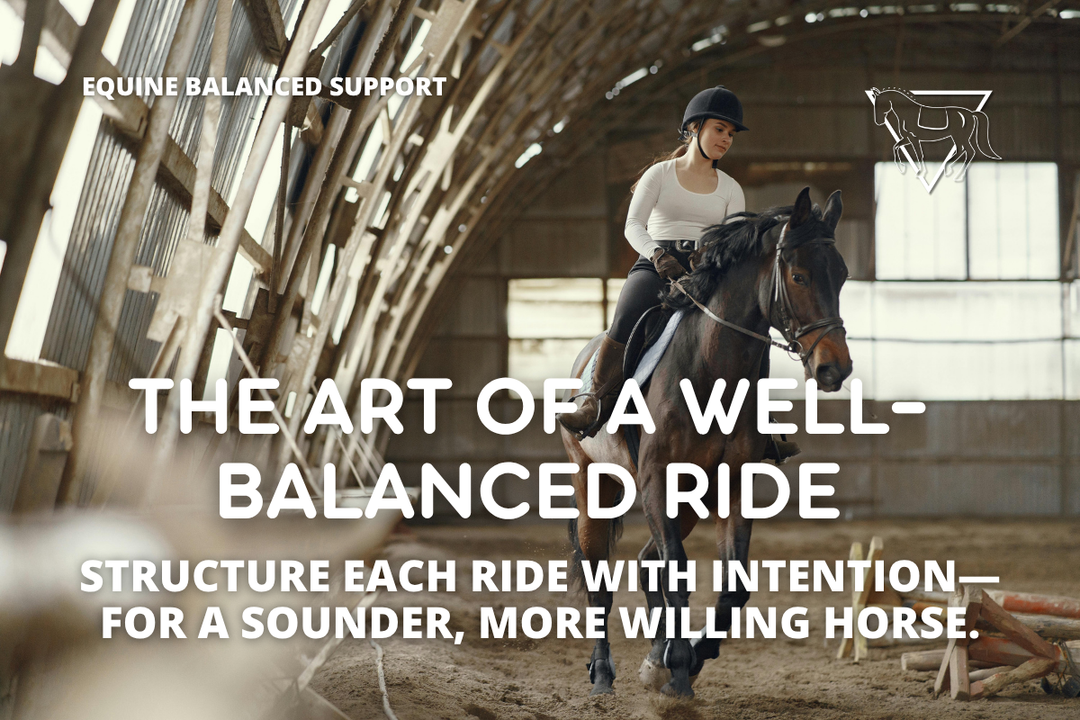 The Art of a Well-Balanced Ride: Why Variation and Breaks Matter
