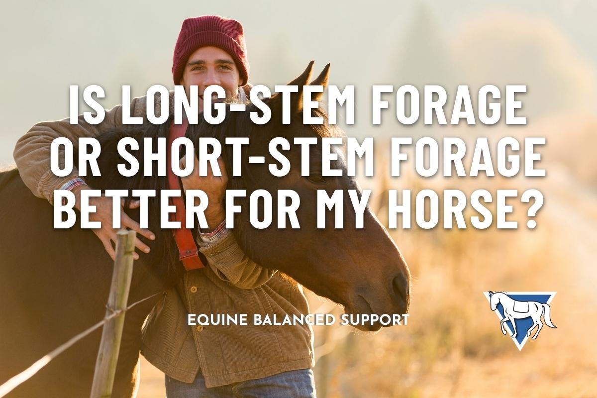 A horse's caretaker wearing a red beanie and a brown jacket, embracing the horse, standing in a field with Equine Balanced Support's logo and text: "Is Long-Stem Forage or Short-Stem Forage Better for My Horse?"
