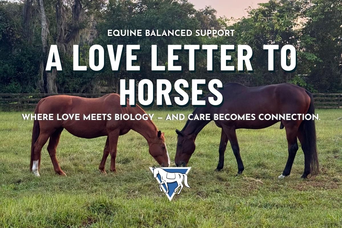 A Love Letter to Horses – Treat with Compassion™