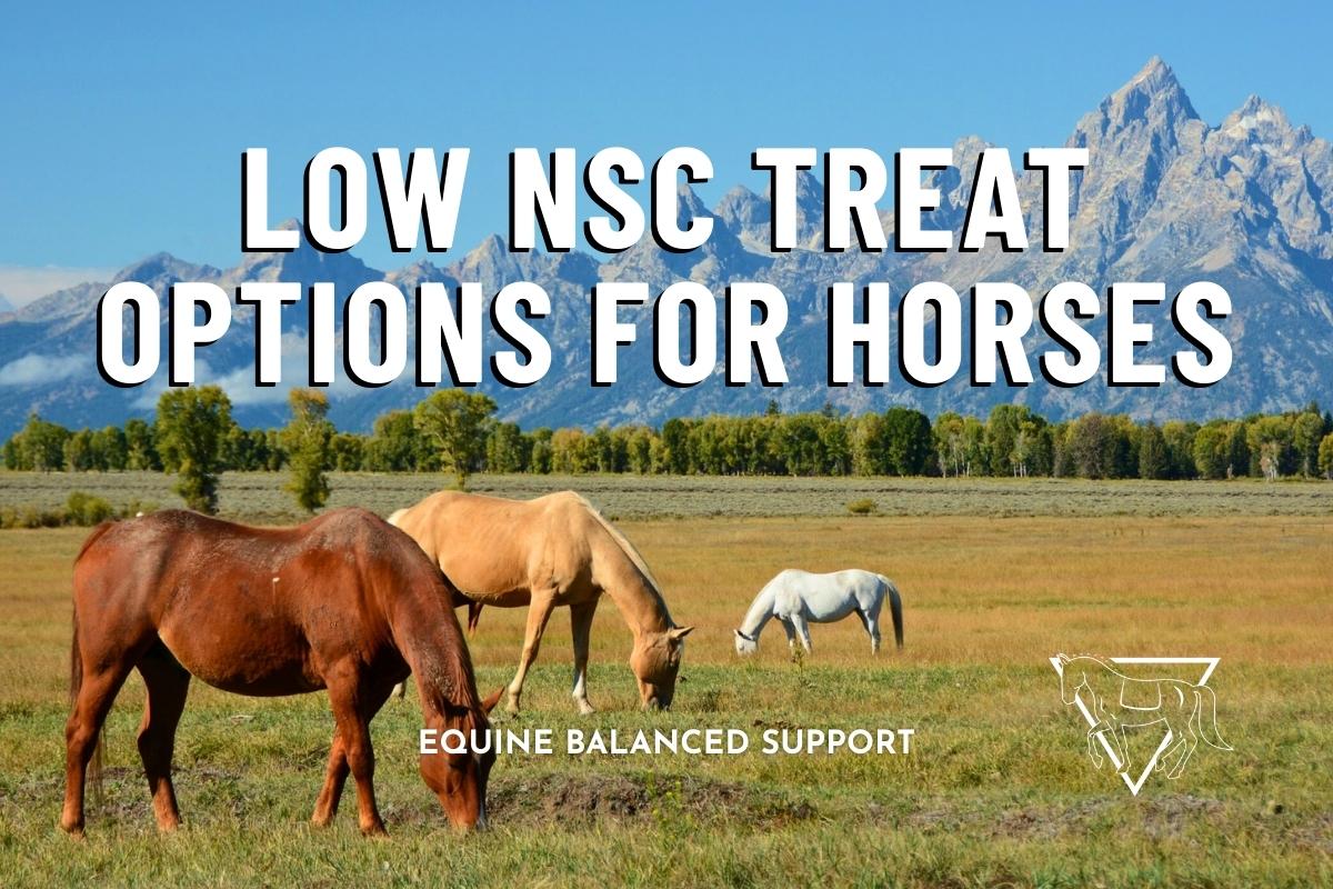 Three horses; brown, tan and white, grazing in the grass in front of giant mountains,  with Equine Balanced Support's logo and text: "Low-NSC Horse Treats for Horses"