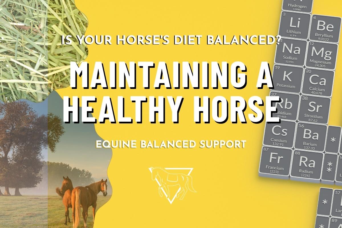 A horse grazing in a well-maintained pasture with a variety of forages to ensure a balanced intake of essential vitamins and minerals. with Equine Balanced Support's logo and text: "Maintaining a healthy horse: Is your horse's diet balanced?"
