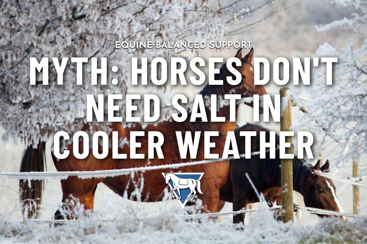 Two brown horses stand in a snowy landscape behind an icy fence, with Equine Balanced Support's logo and text: "Myth: Horses Don't Need Salt in Cooler Weather"