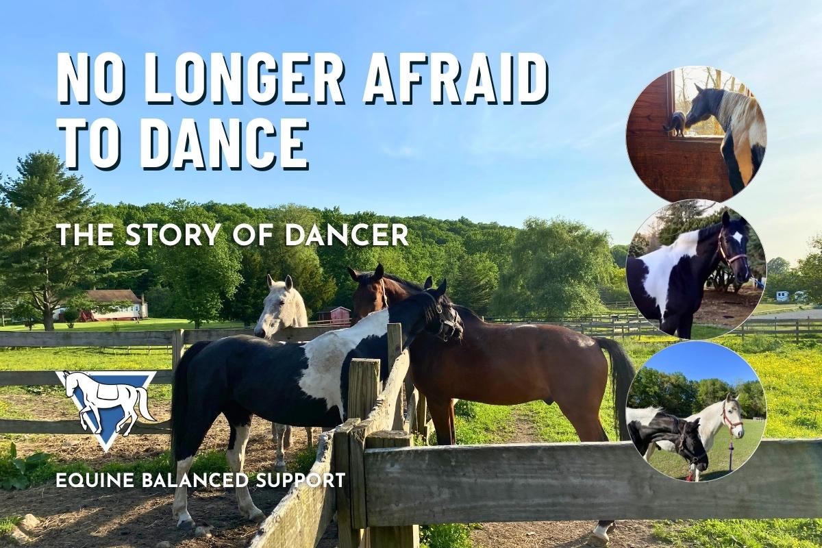A black and white horse, a white horse, and a brown horse in a paddock, with overlays of each of them, with Equine Balanced Support's logo and text: "No Longer Afraid to Dance: The Story of Dancer"
