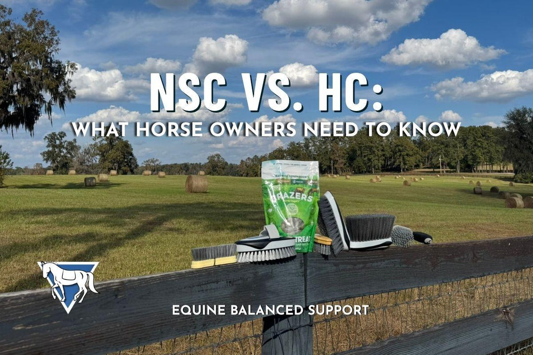 NSC vs. HC: What Horse Owners Need to Know