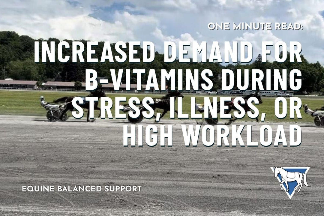 Increased Demand for B‑Vitamins During Stress, Illness, or High Workload