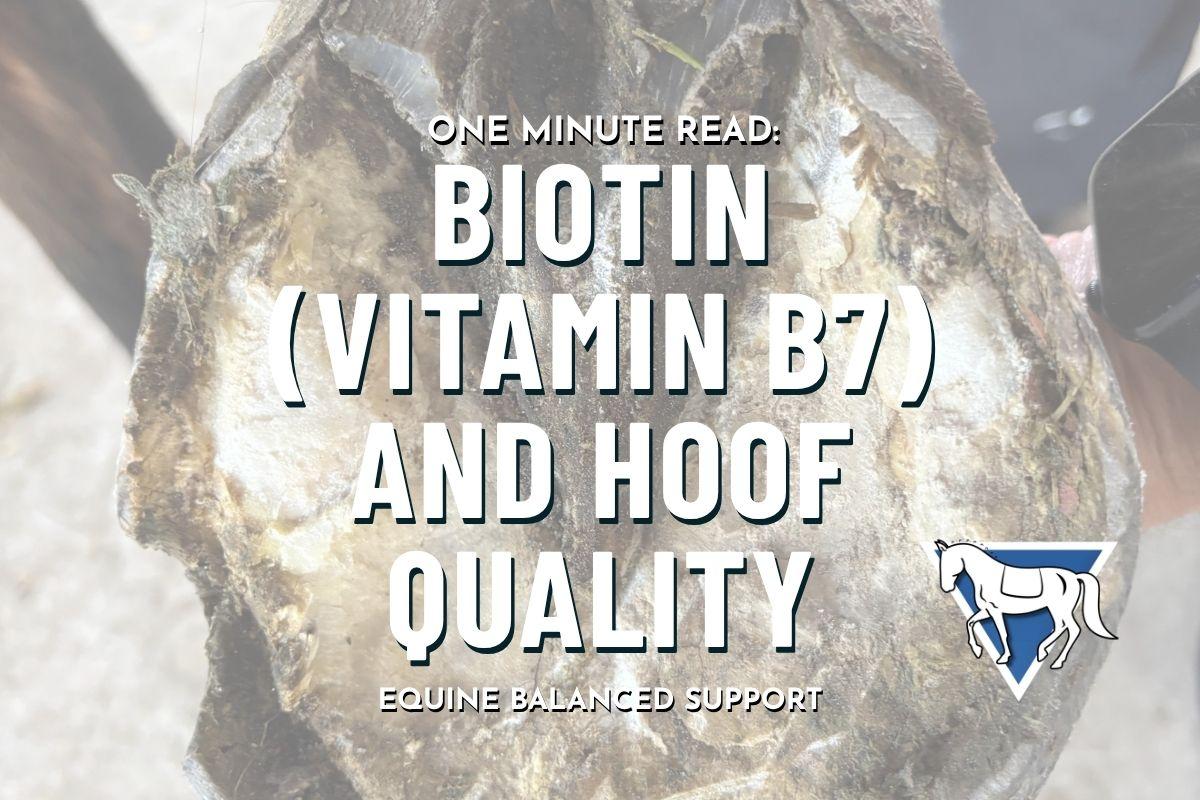 Biotin (Vitamin B7) and Hoof Quality