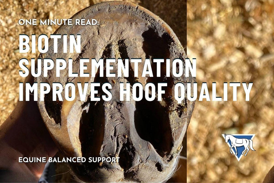 Biotin Supplementation Improves Hoof Quality: Evidence and Practical Application