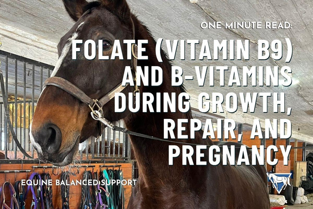 Folate (Vitamin B9) and B‑vitamins During Growth, Repair, and Pregnancy