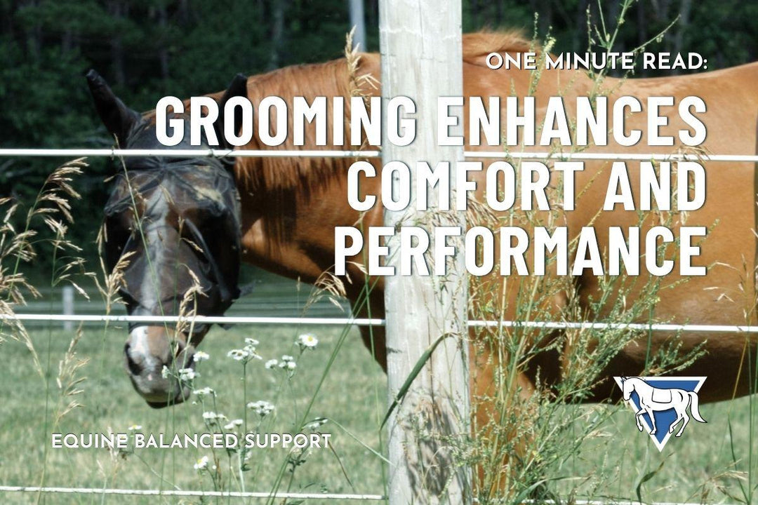 Grooming Enhances Comfort and Performance
