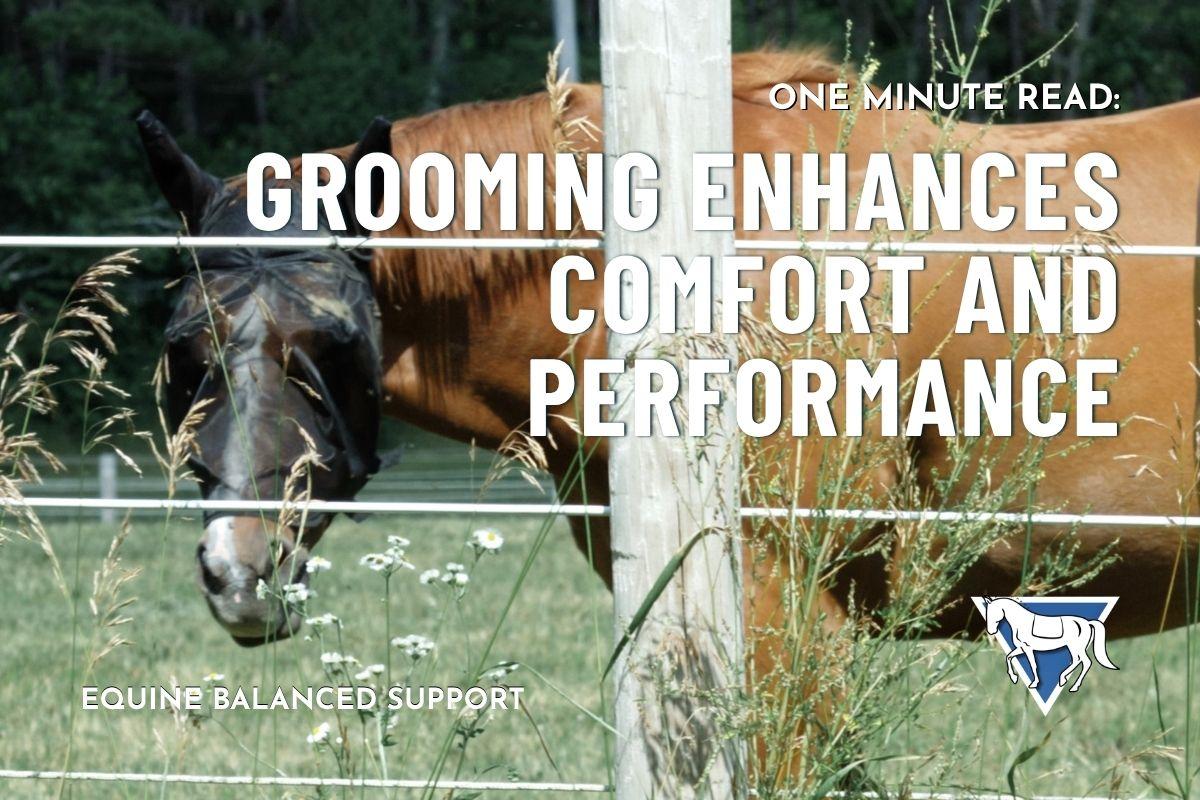 Grooming Enhances Comfort and Performance