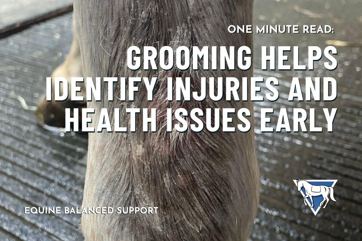 Grooming Helps Identify Injuries and Health Issues Early