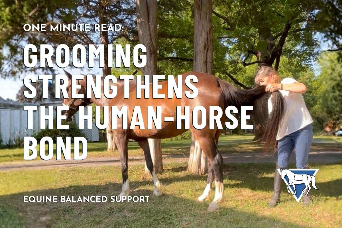 Grooming Strengthens the Human-Horse Bond