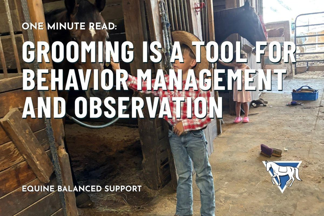 Grooming Is a Tool for Behavior Management and Observation