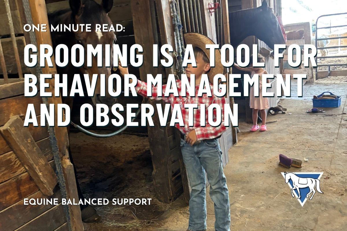 Grooming Is a Tool for Behavior Management and Observation
