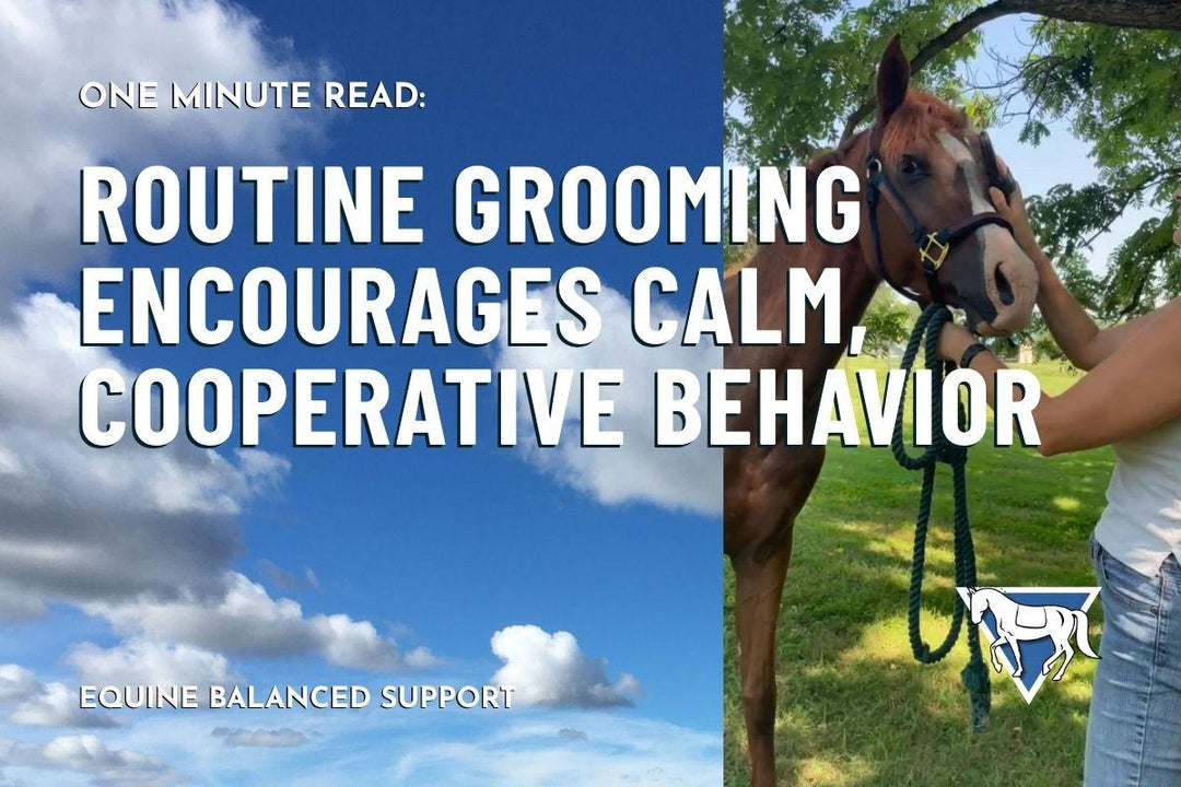 Routine Grooming Encourages Calm, Cooperative Behavior