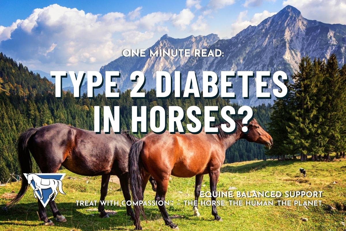 Two large brown horses freely wander rolling hills in the mountains with Equine Balanced Support's logo and text  "One Minute Read: Type 2 Diabetes in Horses? Treat with Compassion™ the horse. the human. the planet."