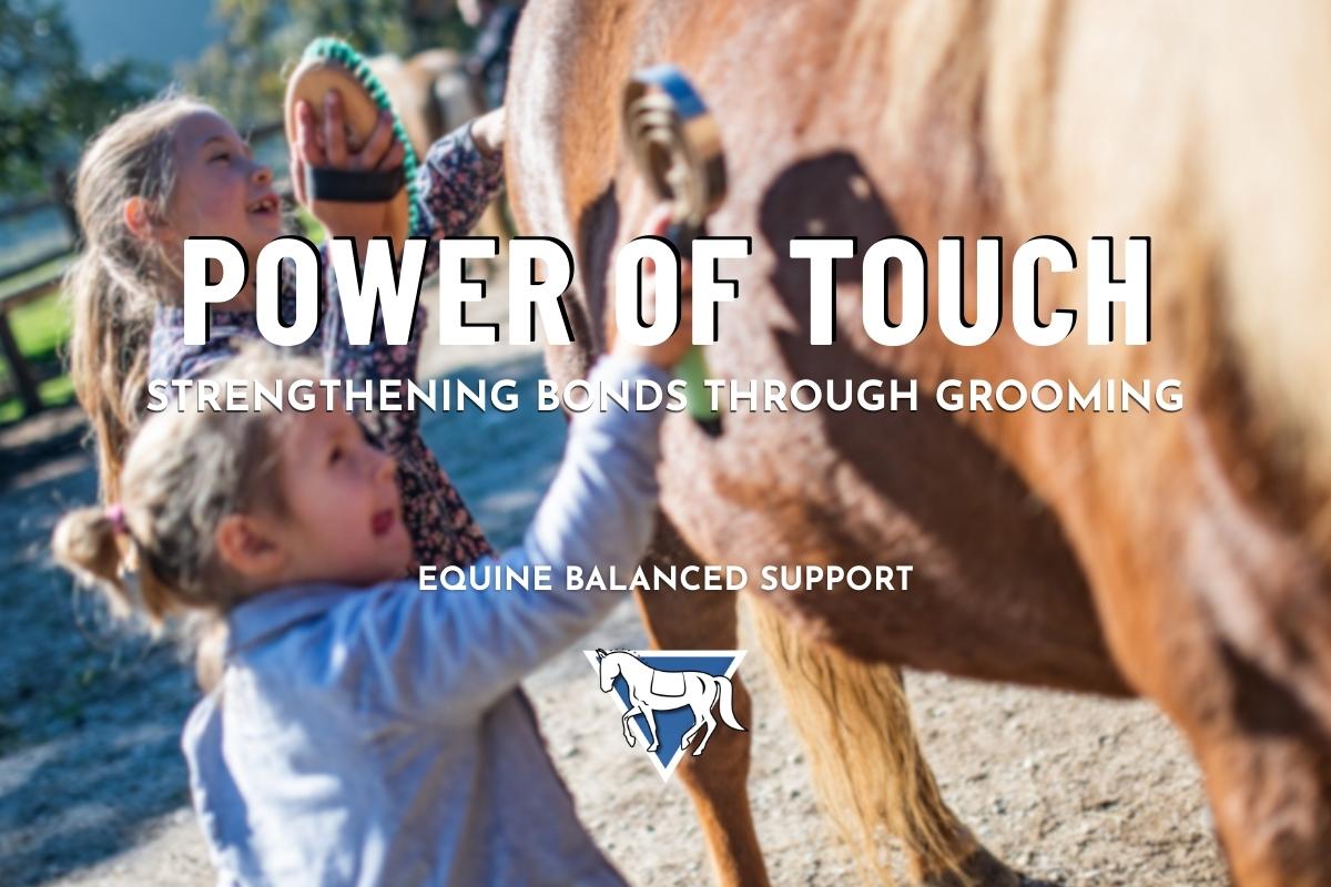 The Power of Touch: Strengthening Bonds Through Grooming