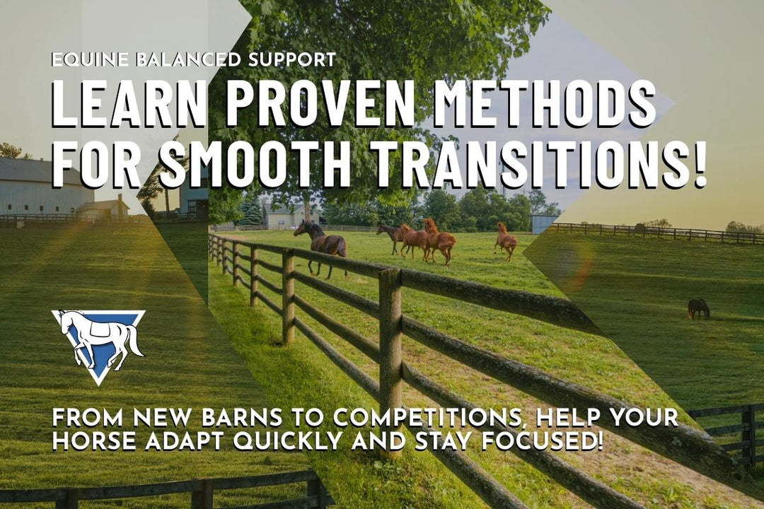 Smooth Transitions: Proven Tips to Help Your Horse Adjust to New Surroundings