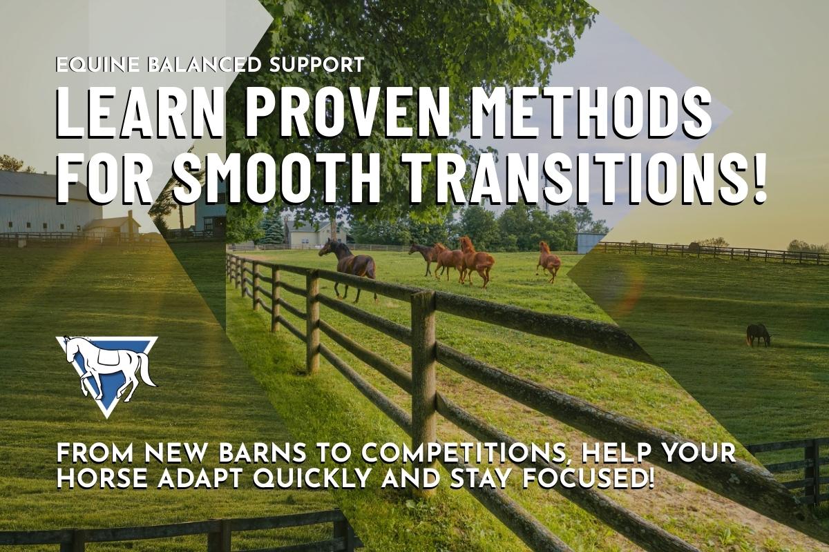 Smooth Transitions: Proven Tips to Help Your Horse Adjust to New Surroundings