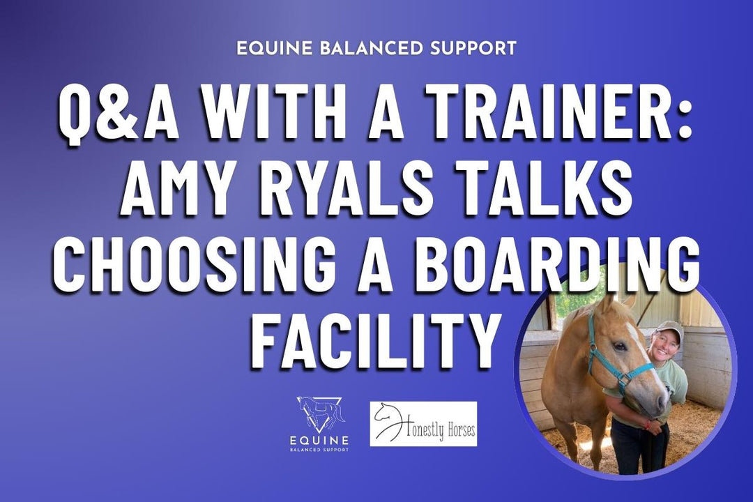 Q&A with a Trainer: Amy Ryals talks Selecting a Boarding Facility