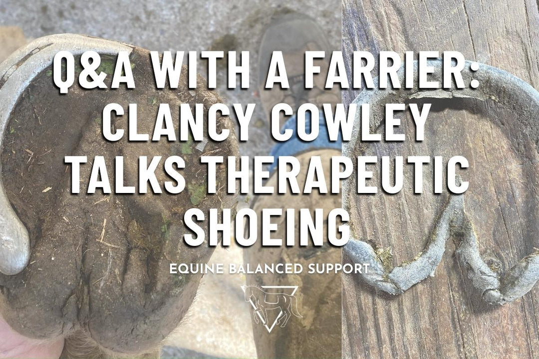 Q&A with a Farrier: Clancy Cowley talks Therapeutic Shoeing