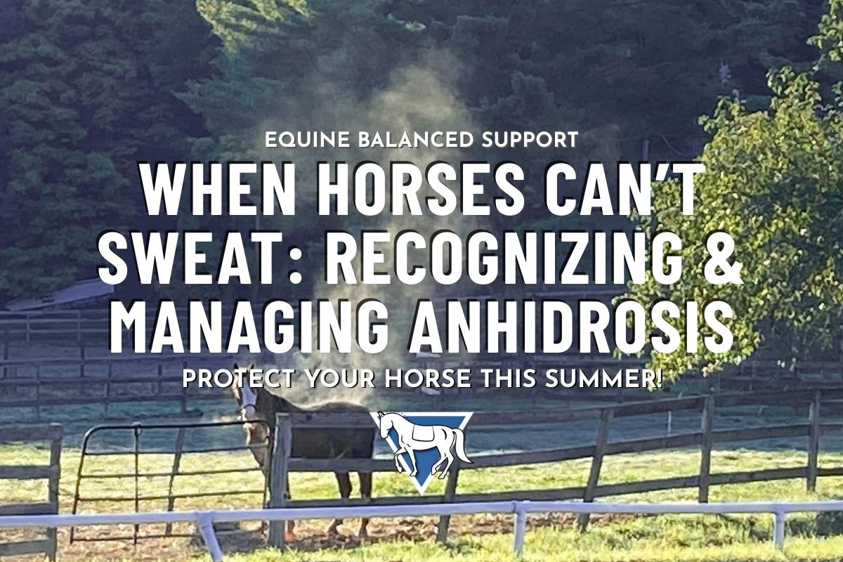 A horse behind a wooden fence  with Equine Balanced Support's logo and text: "When Horses Can't Sweat: Recognizing and Managing Anhidrosis, Protect Your Horse This Summer"