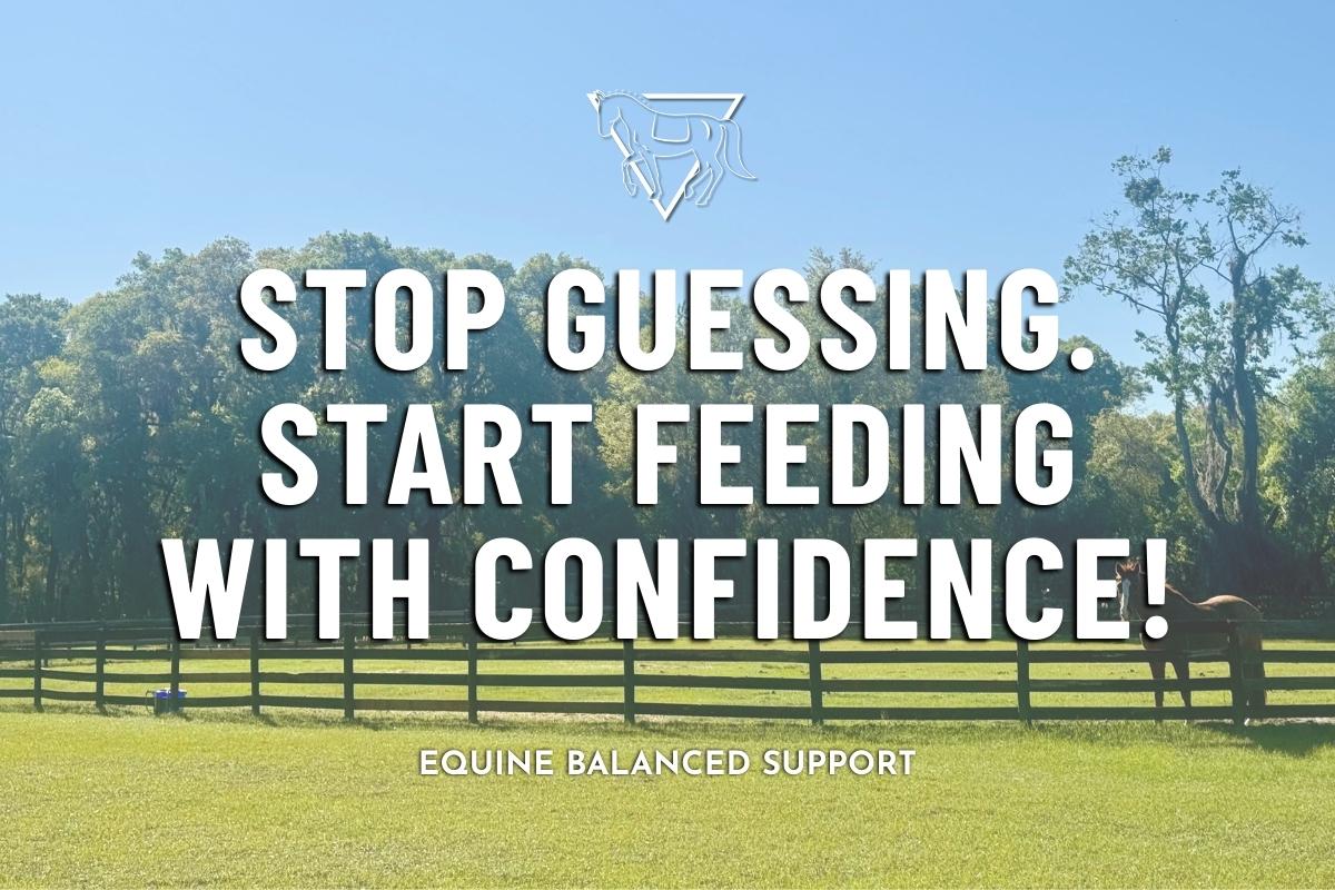 A healthy, confident horse with a lustrous brown coat, fed a balanced and nutritious diet, standing in a green field with Equine Balanced Support's logo and text: "Stop Guessing. Start Feeding With Confidence!" 