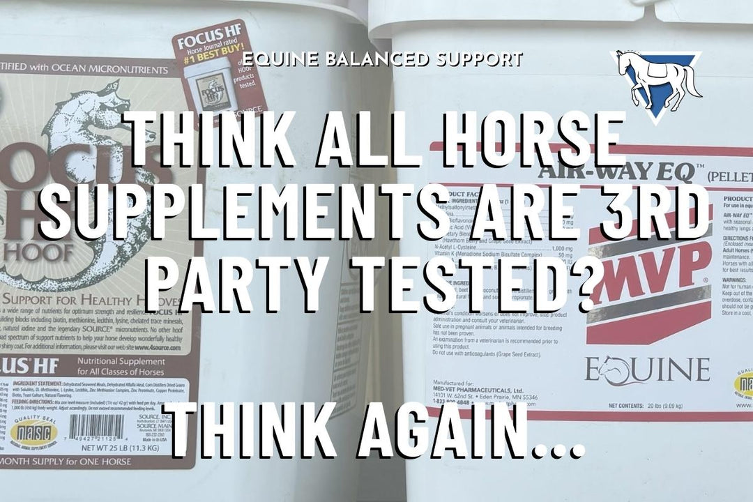 NASC-Certified Horse Supplements: Trustworthy Nutrition for Horse Health