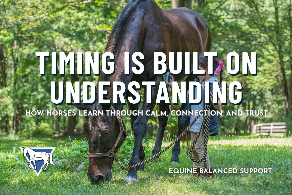 How Horses Learn: The Science of Timing & Trust